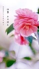 ֹ,ϴ󷨵ӹ編ִʦ𻪵(25)
