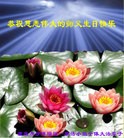 ֹ,󷨵ӹ編ִʦ𻪵(25)
