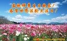 ֹ,󷨵ӹ編ִʦ𻪵(28)
