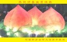 ֹ,ϴ󷨵ӹ編ִʦ𻪵(25)

