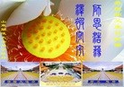 ֹ,ʴ󷨵ӹ編ִʦ𻪵(27)
