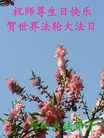 ֹ,֣ݴ󷨵ӹ編ִʦ𻪵(25)
