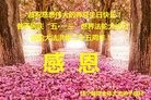 ֹ,д󷨵ӹ編ִʦ𻪵(22)