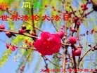 ֹ,ݴ󷨵ӹ編ִʦ𻪵(21)