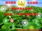 ֹ,ݴ󷨵ӹ編ִʦ𻪵(19)