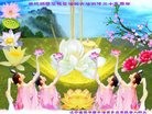 ֹ,д󷨵ӹ編ִʦ𻪵(22)