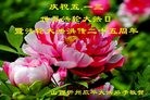 ֹ,ɽ󷨵ӹ編ִʦ𻪵(22)