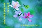 ֹ,Ϋ󷨵ӹ編ִʦ𻪵(22)