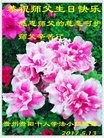 ֹ,ݴ󷨵ӹ編ִʦ𻪵(22)