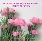 ֹ,ɽ󷨵ӹ編ִʦ𻪵(22)