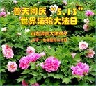 ֹ,ϴ󷨵ӹ編ִʦ𻪵(22)