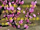 ֹ,Ϋ󷨵ӹ編ִʦ𻪵(23)