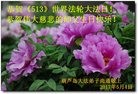 ֹ,«󷨵ӹ編ִʦ𻪵(20)