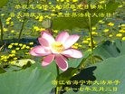ֹ,㽭󷨵ӹ編ִʦ𻪵(23)