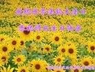 ֹ,󷨵ӹ編ִʦ𻪵(21)