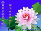 ֹ,ػʵ󷨵ӹ編ִʦ𻪵(23)
