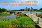 ֹ,󷨵ӹ編ִʦ𻪵(24)