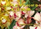 ֹ,󷨵ӹ編ִʦ𻪵(29)