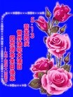 ֹ,д󷨵ӹ編ִʦ𻪵(22)