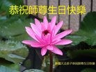 ֹ,½󷨵ӹ編ִʦ𻪵(24)