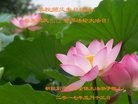ֹ,½󷨵ӹ編ִʦ𻪵(24)