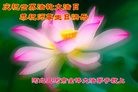 ֹ,ȷ󷨵ӹ編ִʦ𻪵(25)