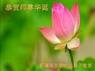 ֹ,½󷨵ӹ編ִʦ𻪵(24)