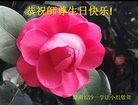 ֹ,ɳ󷨵ӹ編ִʦ𻪵(23)