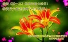 ֹ,«󷨵ӹ編ִʦ𻪵(20)