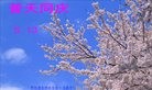 ֹ,ݴ󷨵ӹ編ִʦ𻪵(25)