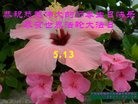 ֹ,㶫󷨵ӹ編ִʦ𻪵(27)