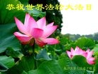 ֹ,󷨵ӹ編ִʦ𻪵(29)