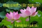 ֹ,󷨵ӹ編ִʦ𻪵(21)