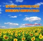 ֹ,󷨵ӹ編ִʦ𻪵(24)