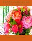ֹ,«󷨵ӹ編ִʦ𻪵(20)