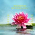 ���ֹ�,�ɶ��󷨵��ӹ������編�ִ�����ʦ�𻪵�(27��)