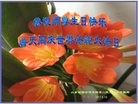 ֹ,ɽ󷨵ӹ編ִʦ𻪵(26)