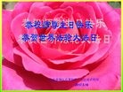 ֹ,ɽ󷨵ӹ編ִʦ𻪵(26)
