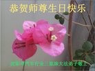 ֹ,󷨵ӹ編ִʦ𻪵(26)