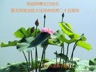 ֹ,󷨵ӹ編ִʦ𻪵(23)