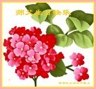 ���ֹ�,�ɶ��󷨵��ӹ������編�ִ�����ʦ�𻪵�(21��)