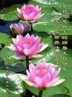 ֹ,ൺ󷨵ӹ編ִʦ𻪵(25)