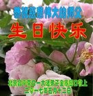 ֹ,󷨵ӹ編ִʦ𻪵(25)