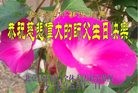 ֹ,󷨵ӹ編ִʦ𻪵(25)