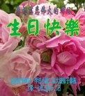 ֹ,󷨵ӹ編ִʦ𻪵(25)