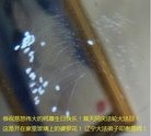 ֹ,󷨵ӹ編ִʦ𻪵(26)