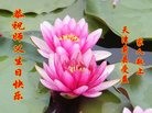 ֹ,󷨵ӹ編ִʦ𻪵(25)