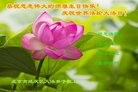 ֹ,󷨵ӹ編ִʦ𻪵(25)