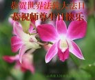ֹ,ɽ󷨵ӹ編ִʦ𻪵(22)