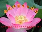 ֹ,󷨵ӹ編ִʦ𻪵(22)